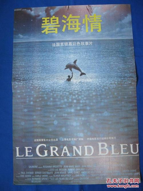 买个假的澳大利亚天然气公用事业账单